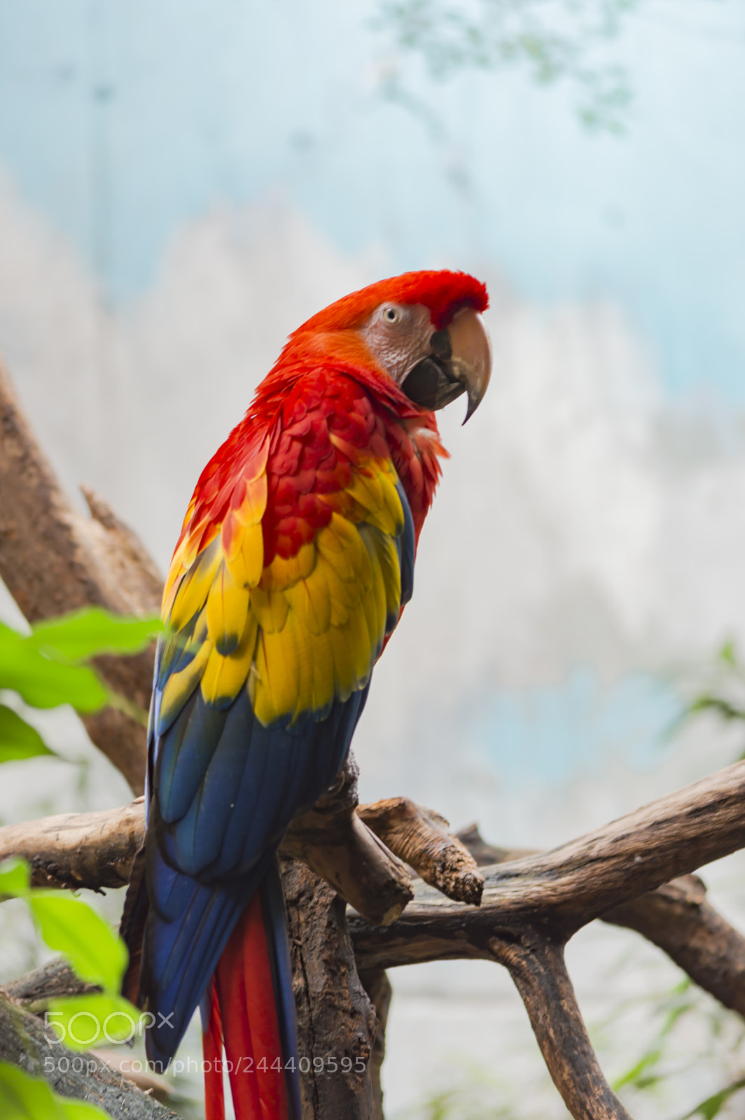 Nikon D3200 sample photo. Fotografia de animales photography