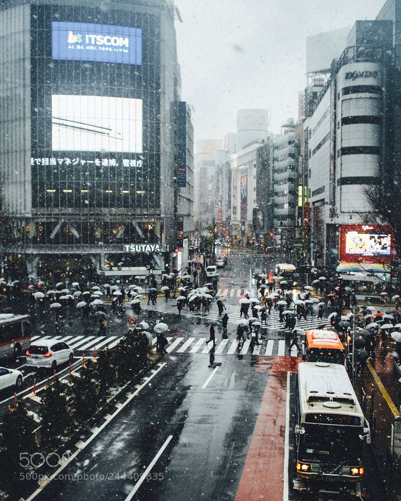 Fujifilm X-Pro1 sample photo. Snowy tokyo. photography