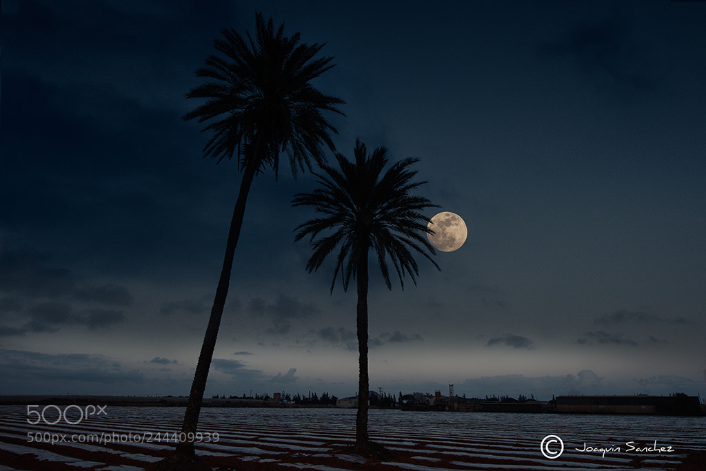 Nikon D800 sample photo. La luna de hoy photography