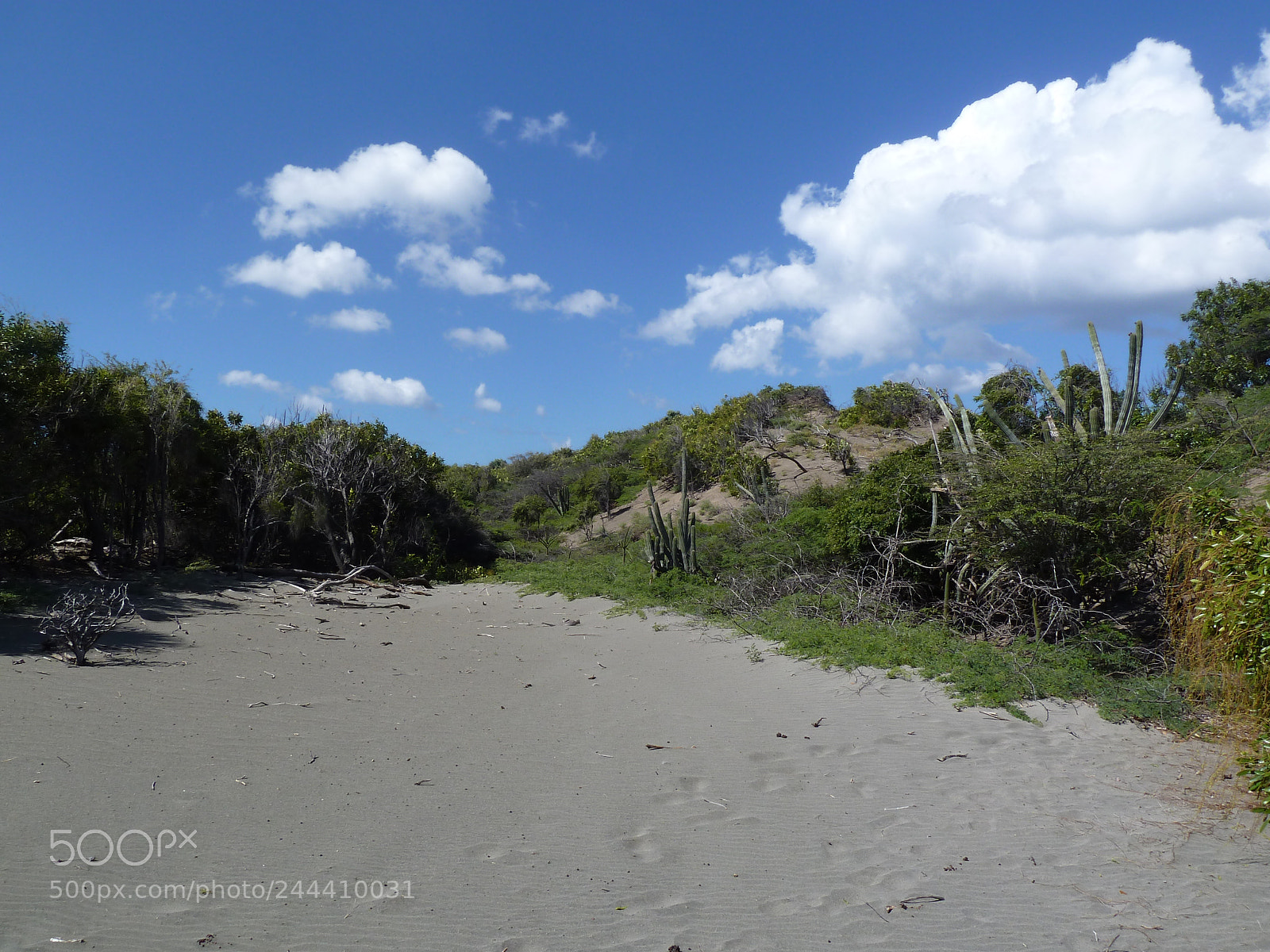 Panasonic Lumix DMC-ZS5 (Lumix DMC-TZ8) sample photo. Dunas de ban vista photography