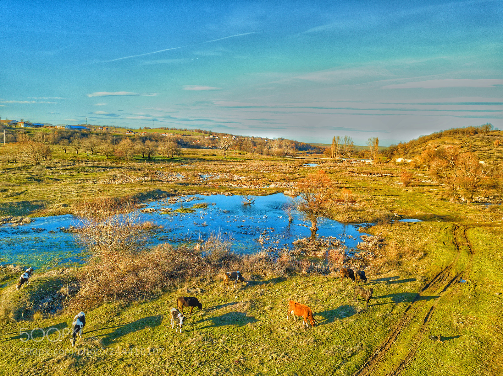 DJI FC220 sample photo. Untitled photography