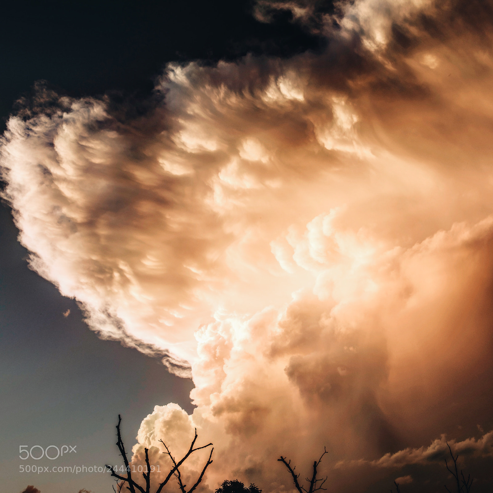 Nikon D810 sample photo. Untitled photography