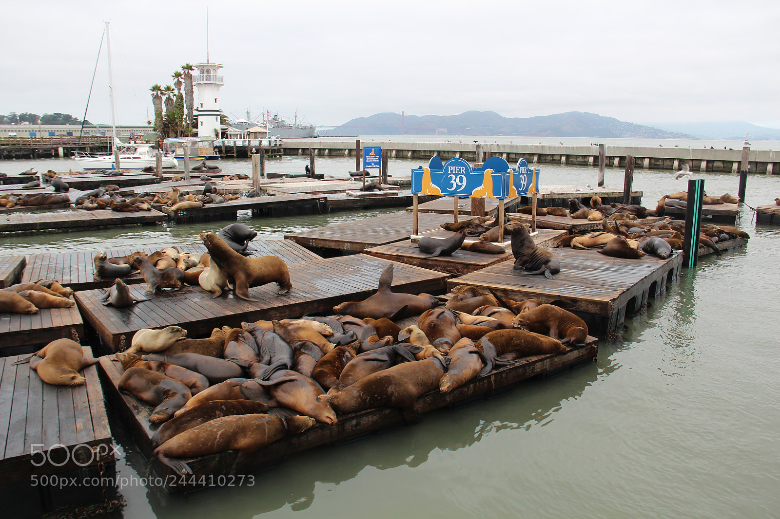 Canon EF-S 18-135mm F3.5-5.6 IS sample photo. Pier 39 photography