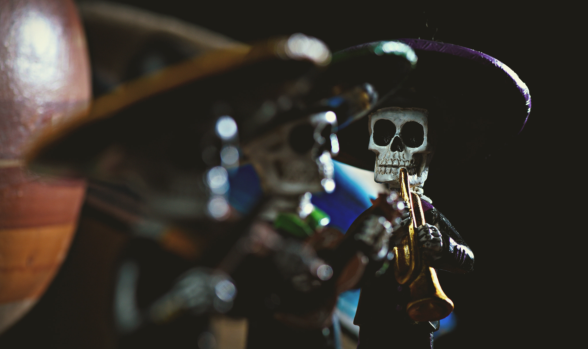 Nikon AF-S Micro-Nikkor 105mm F2.8G IF-ED VR sample photo. Musicians of the dead photography