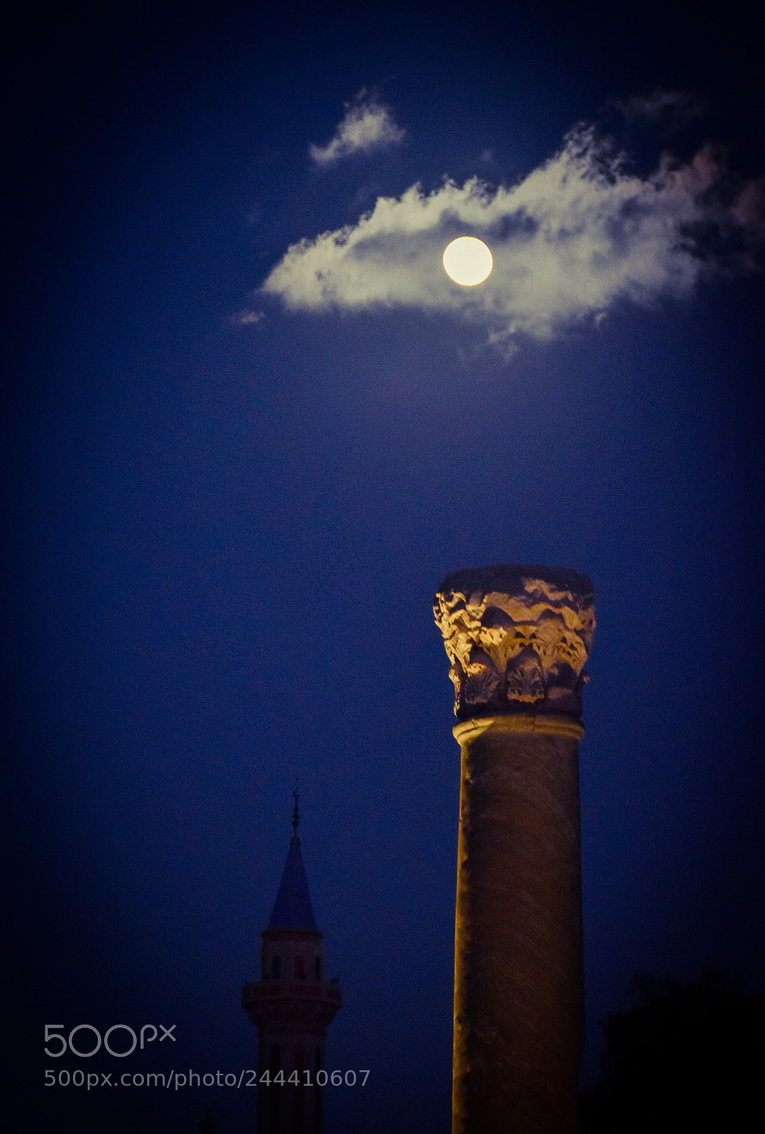Nikon D5500 sample photo. Untitled photography