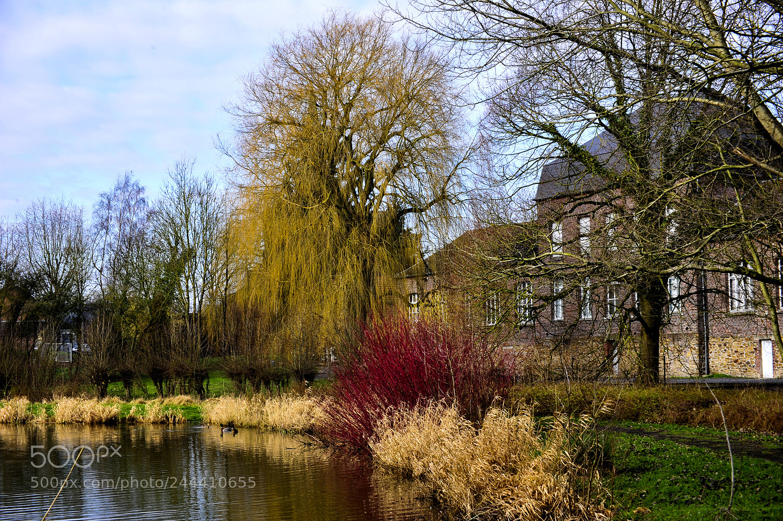 Nikon D700 sample photo. In autumn colors photography