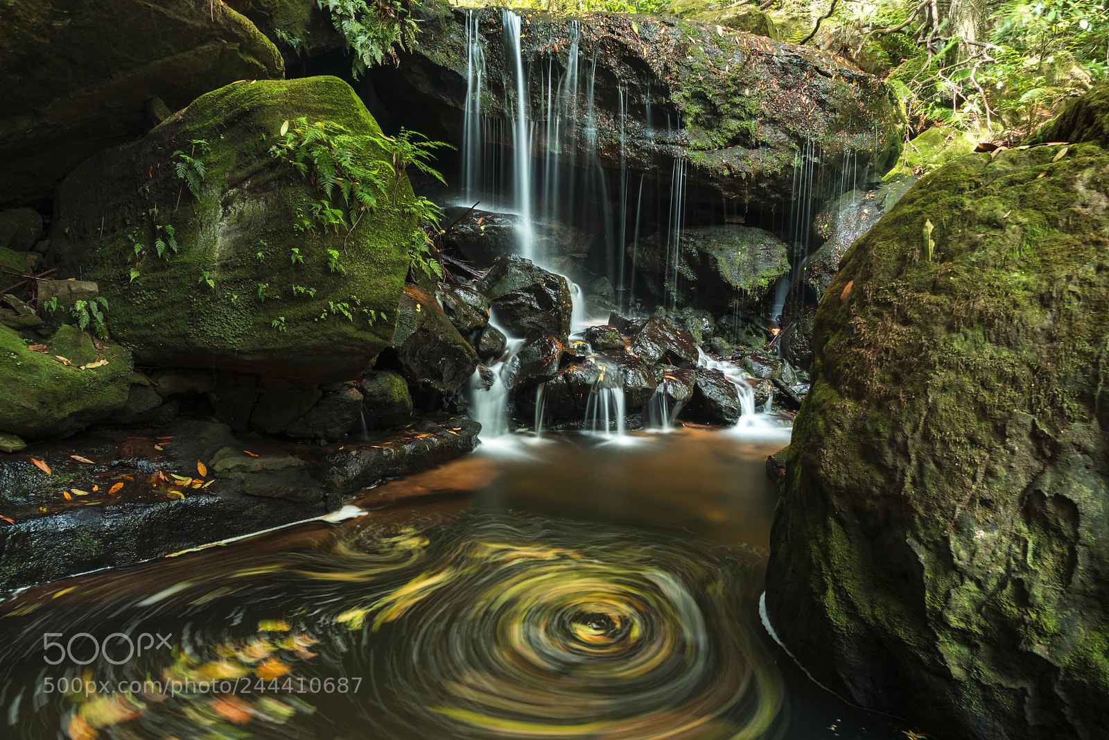 Sony a7R II sample photo. Leura cascades moss waterfall photography