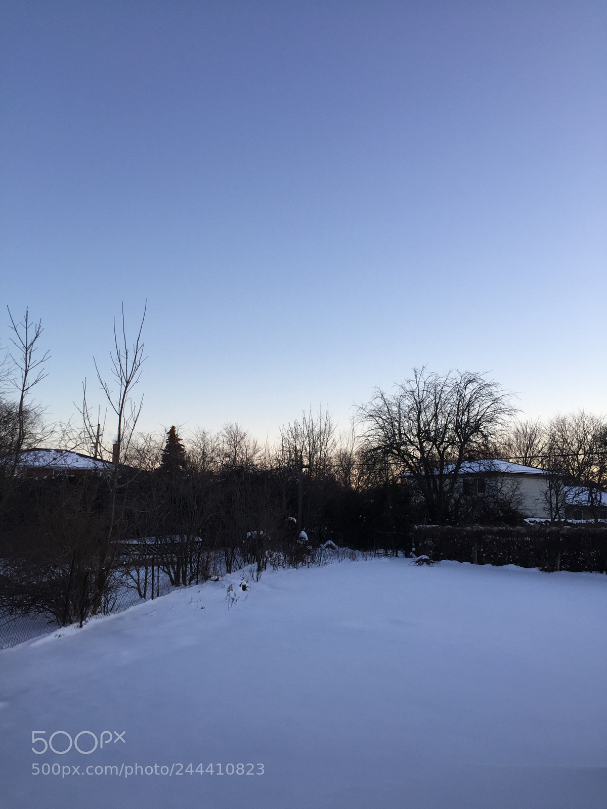 Apple iPhone 6 sample photo. Untitled photography