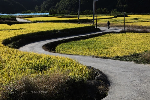 Canon EF 24-70mm F2.8L USM sample photo. Autumn photography