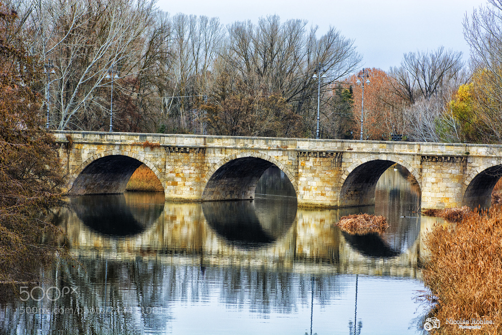 Nikon D7100 sample photo. Mirror bridge photography
