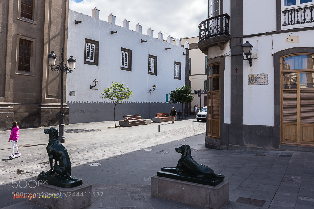 Nikon D7200 sample photo. Plaza de santa ana... photography