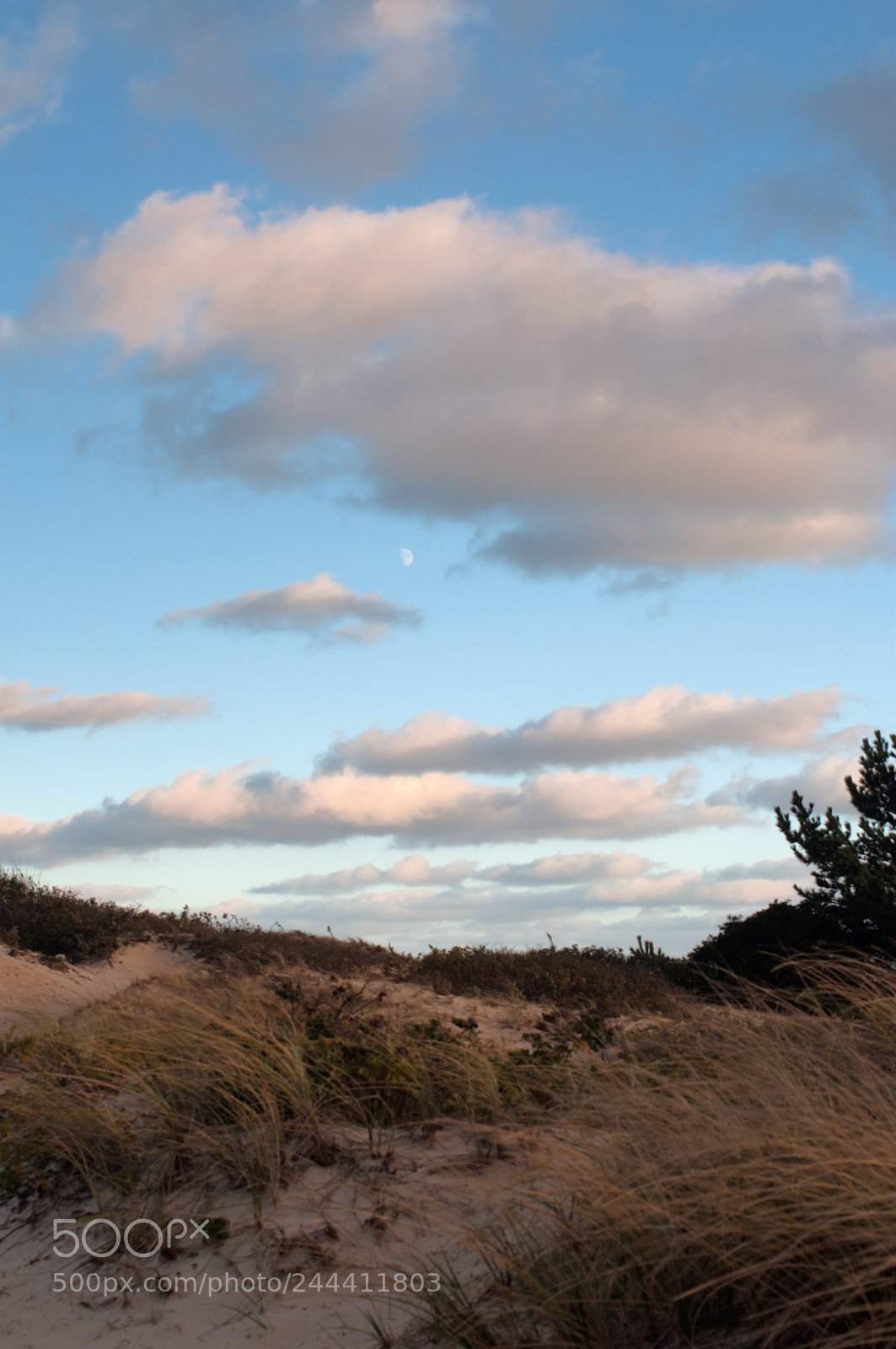Nikon D90 sample photo. Bank street beach harwich photography