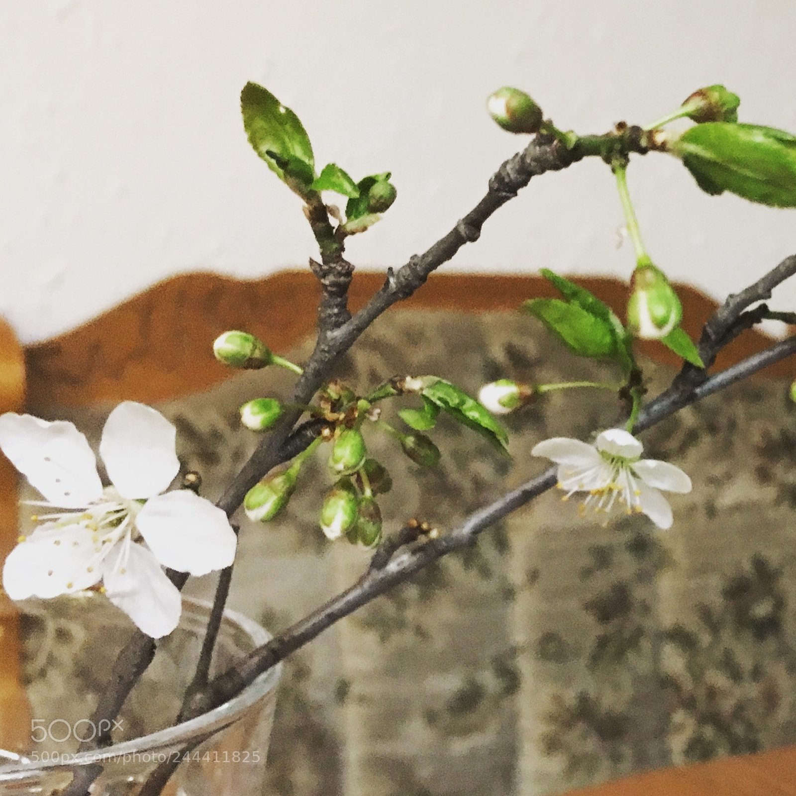 Apple iPhone SE sample photo. Img photography
