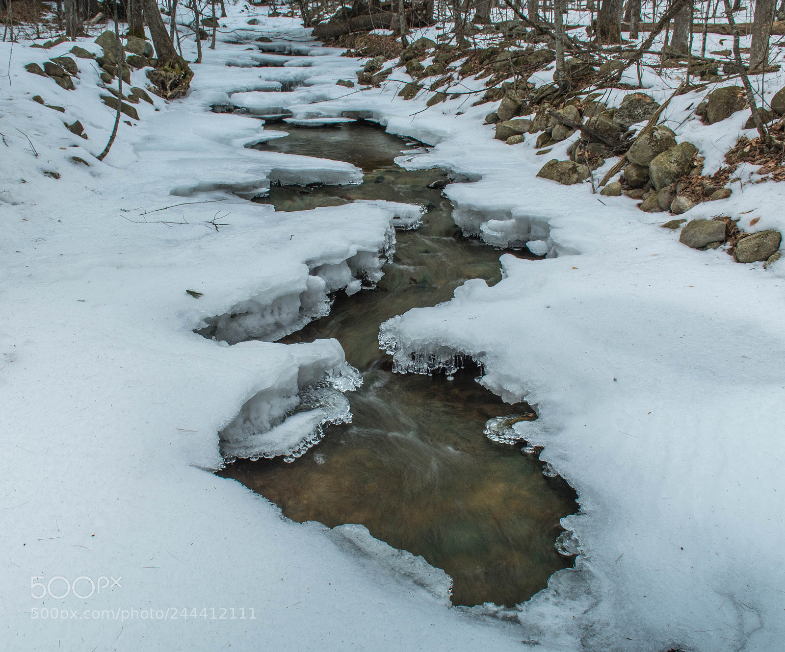 Nikon D7500 sample photo. Return to withee brook photography