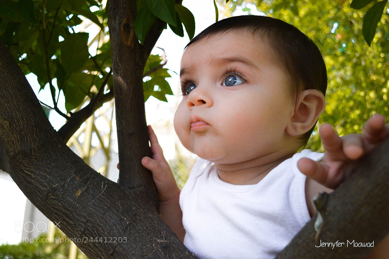 Nikon D3200 sample photo. Vera photography