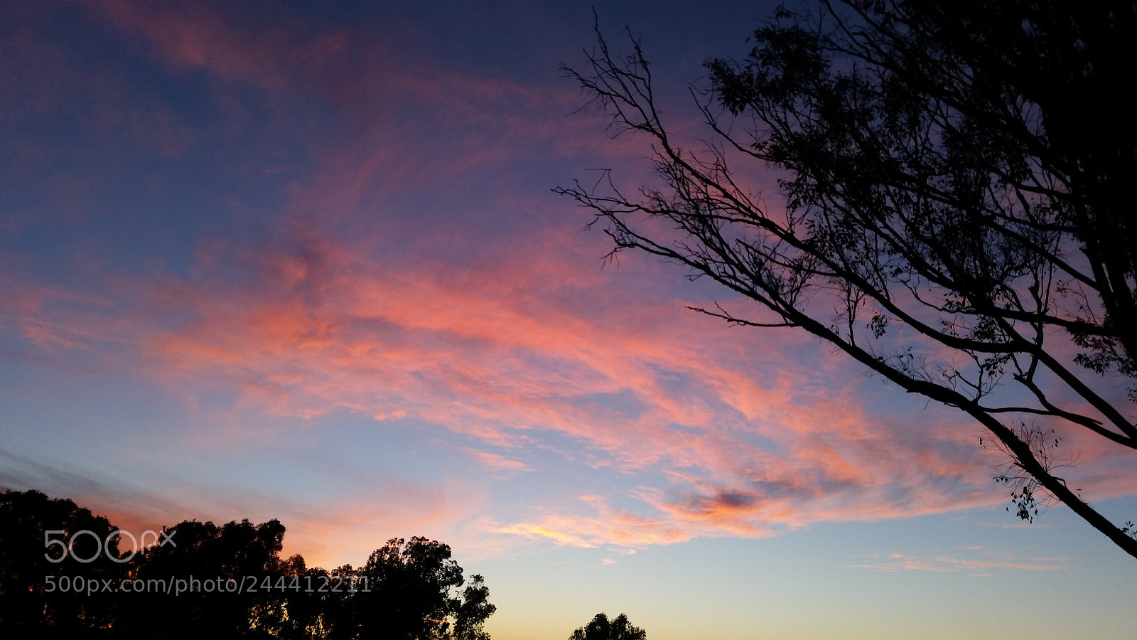 Samsung Galaxy S5 sample photo. Wild sky photography