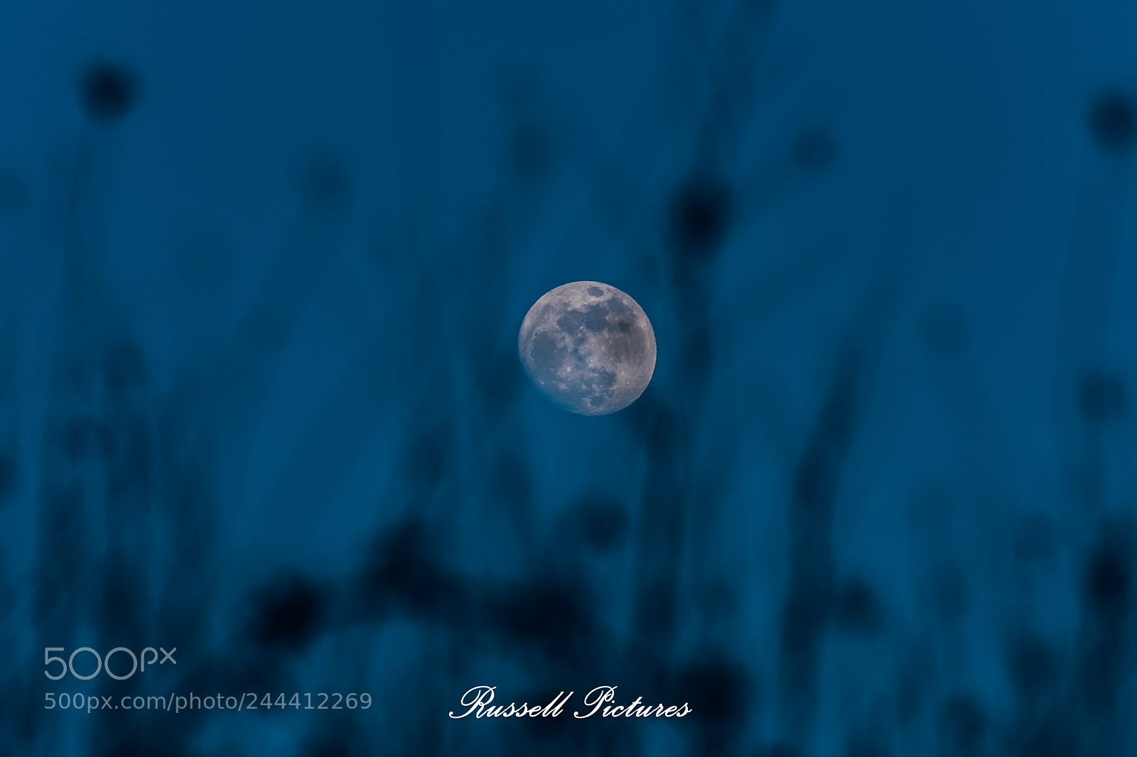 Nikon D3400 sample photo. Enjoy this moon! photography