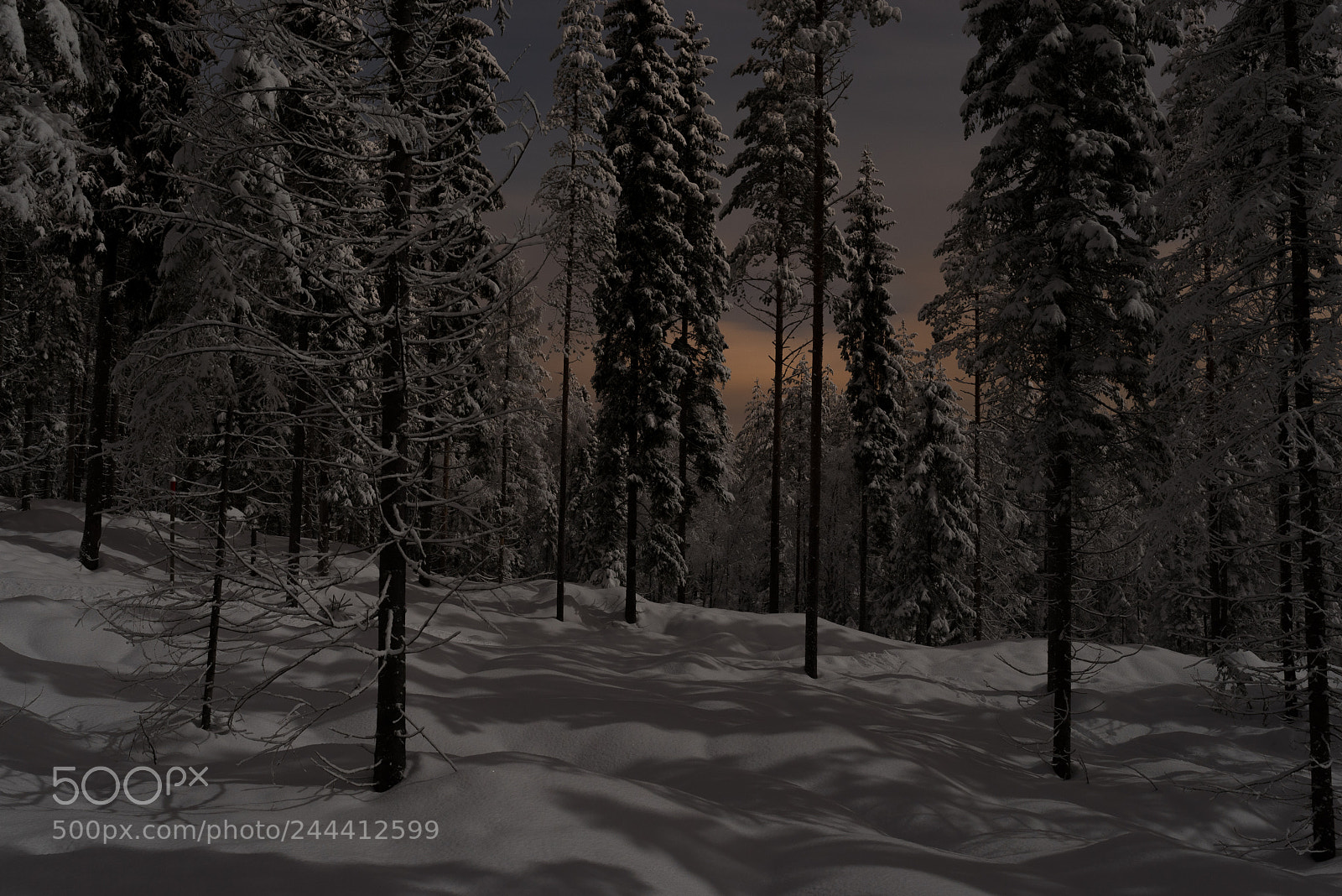 Pentax K-1 sample photo. Moon shadows in winterland photography