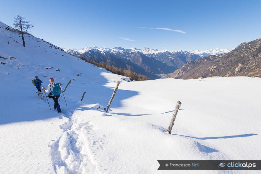 Nikon D810 sample photo. Open space arnad, vall photography