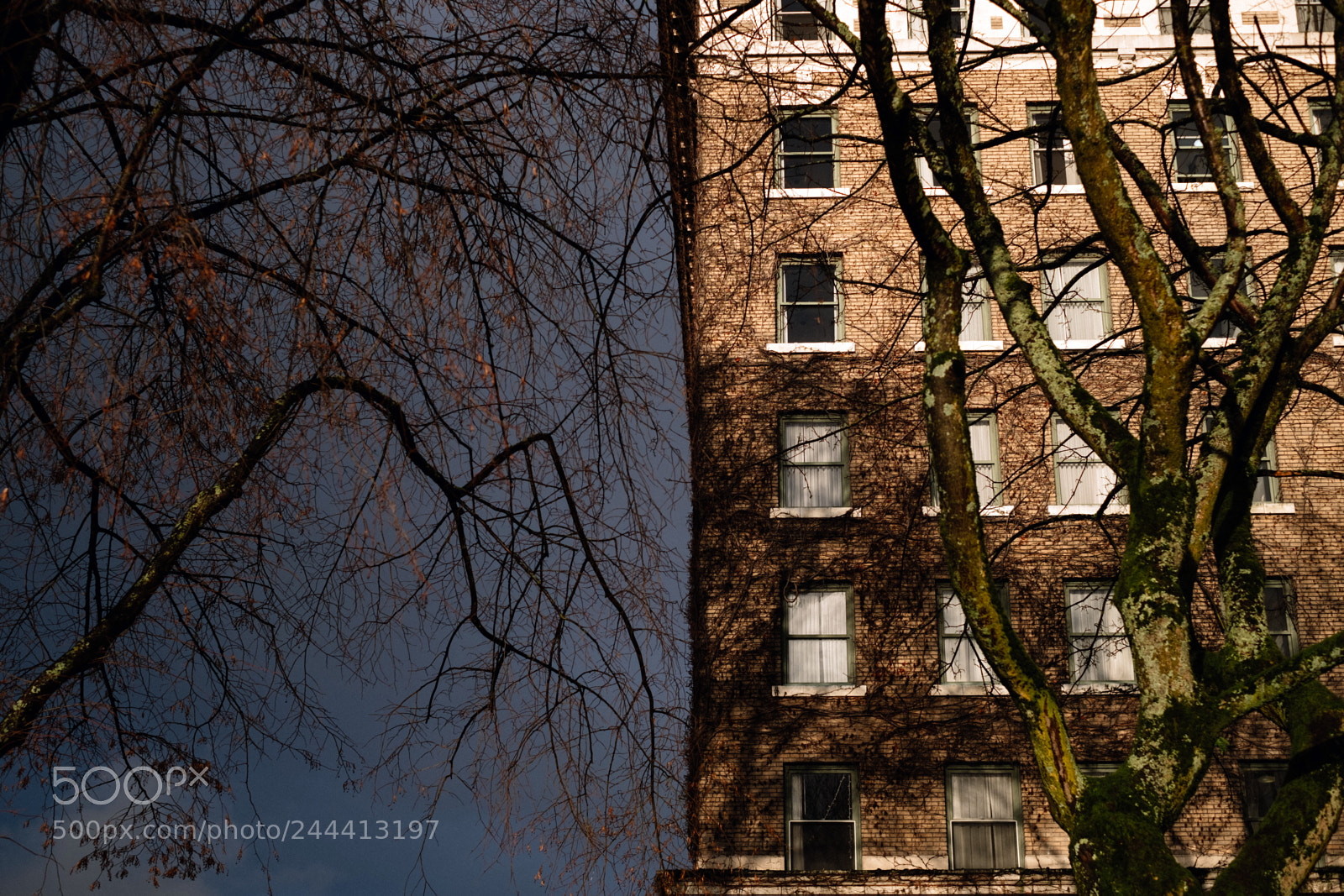 Fujifilm X-Pro2 sample photo. Sylvia hotel, vancouver bc photography