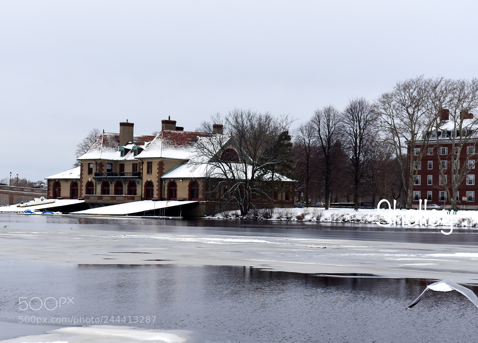 Nikon D7200 sample photo. Untitled photography