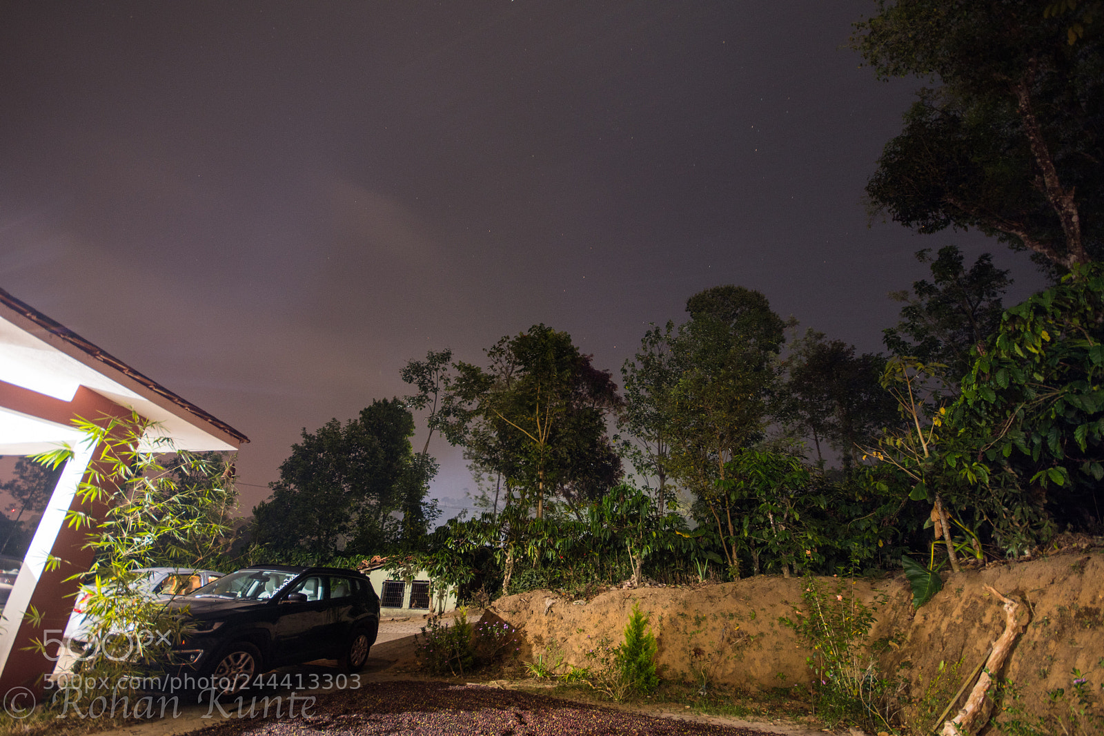 Nikon D500 sample photo. Coffee plantation photography