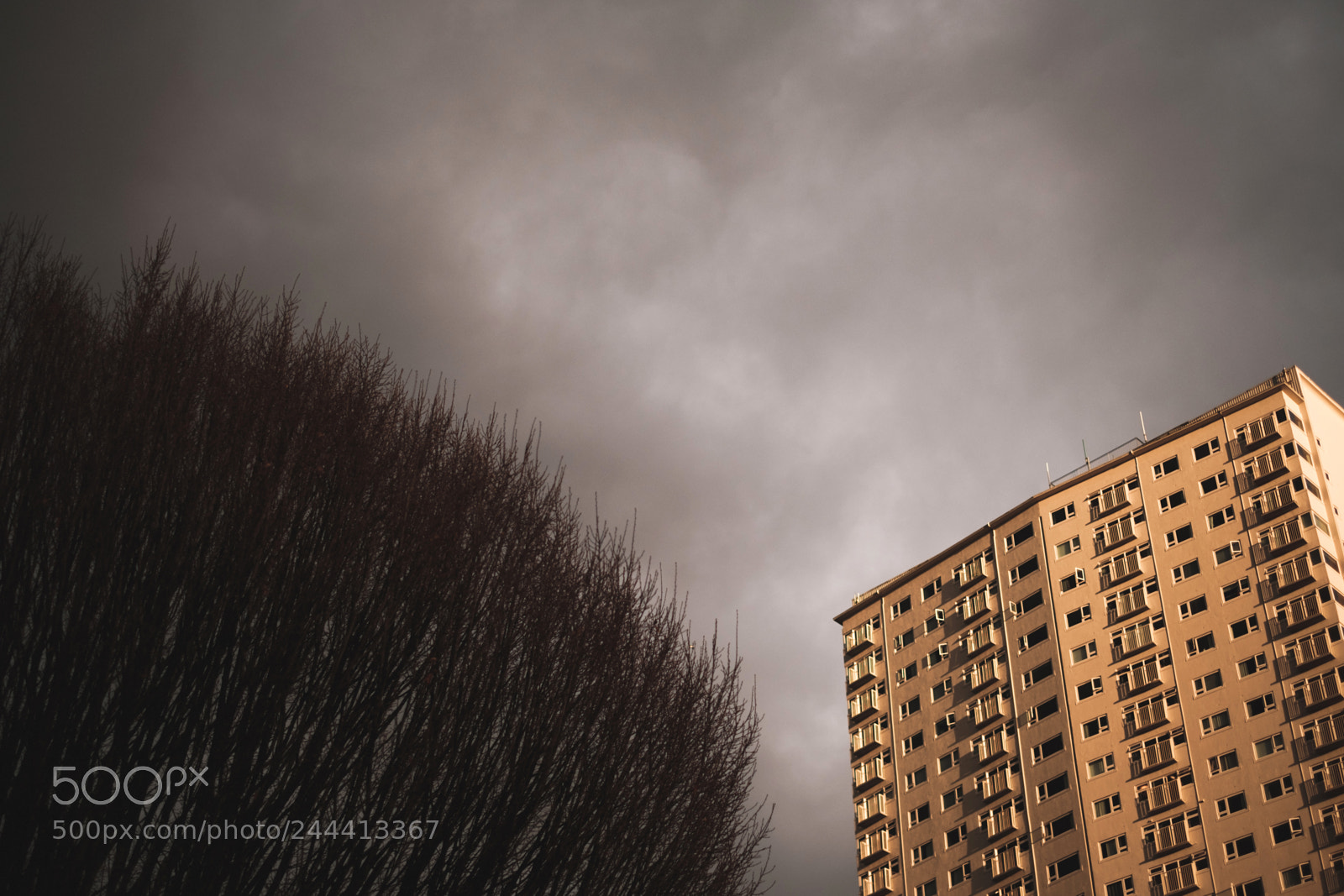 Fujifilm X-Pro2 sample photo. West end vancouver photography