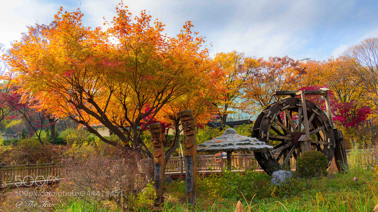 Nikon D810 sample photo. Japanese gardens photography