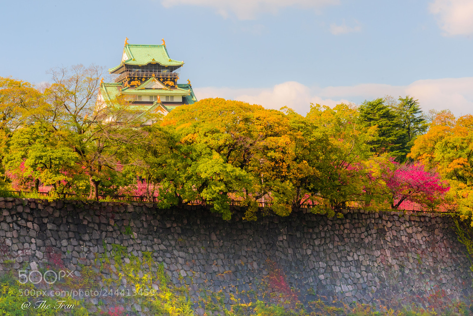 Nikon D810 sample photo. Japanese gardens photography