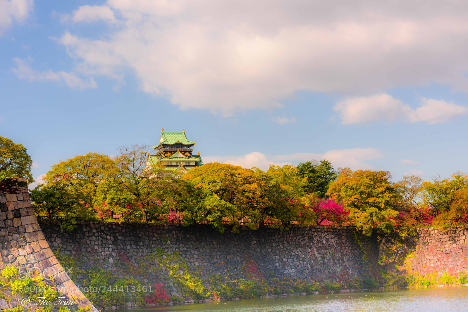 Nikon D810 sample photo. Japanese gardens photography