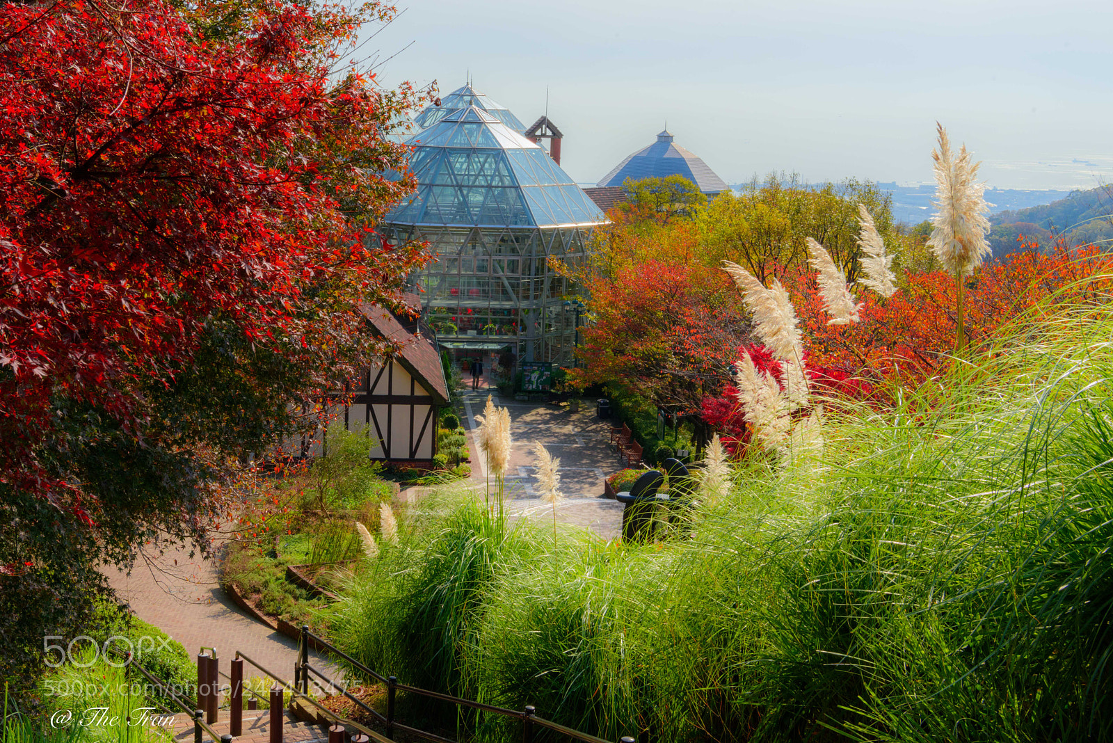 Nikon D810 sample photo. Japanese gardens photography