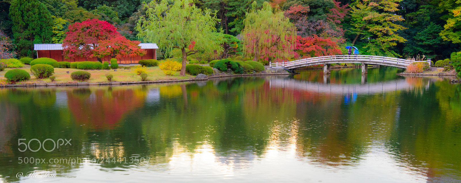 Nikon D810 sample photo. Japanese gardens photography