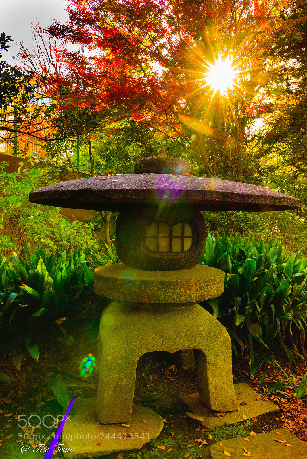 Nikon D810 sample photo. Japanese gardens photography