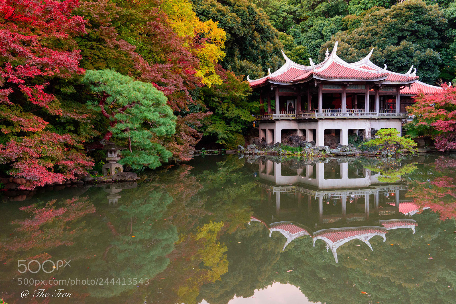 Nikon D810 sample photo. Japanese gardens photography