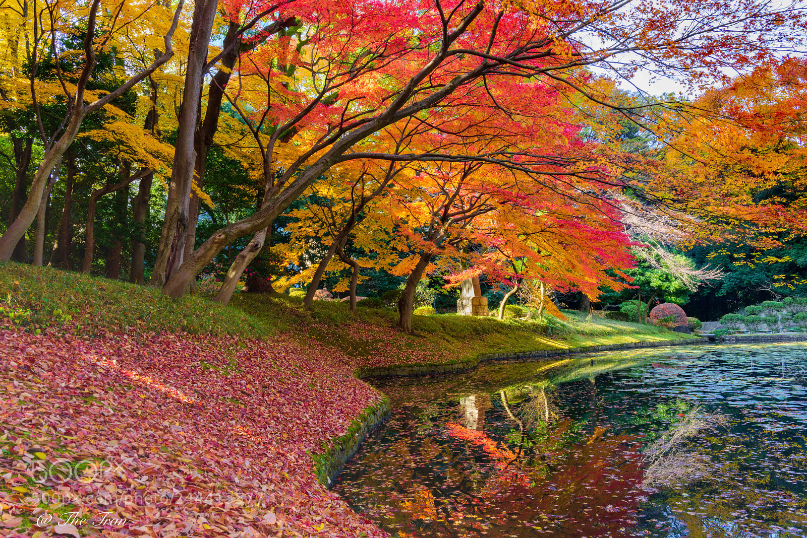 Nikon D810 sample photo. Japanese gardens photography