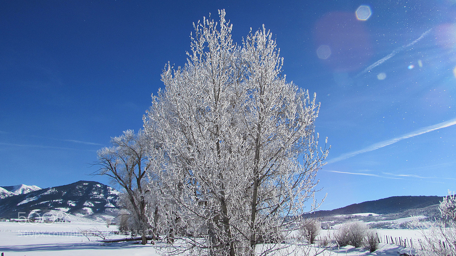 Canon PowerShot SX510 HS sample photo. Ice photography
