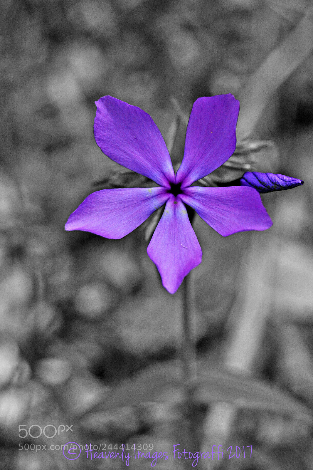 Nikon D90 sample photo. Standing out photography