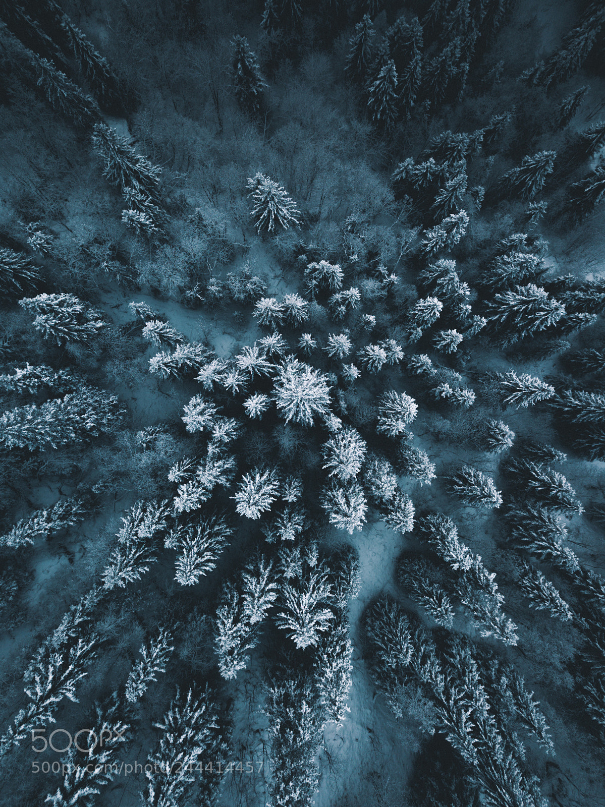 DJI FC220 sample photo. Frozen photography