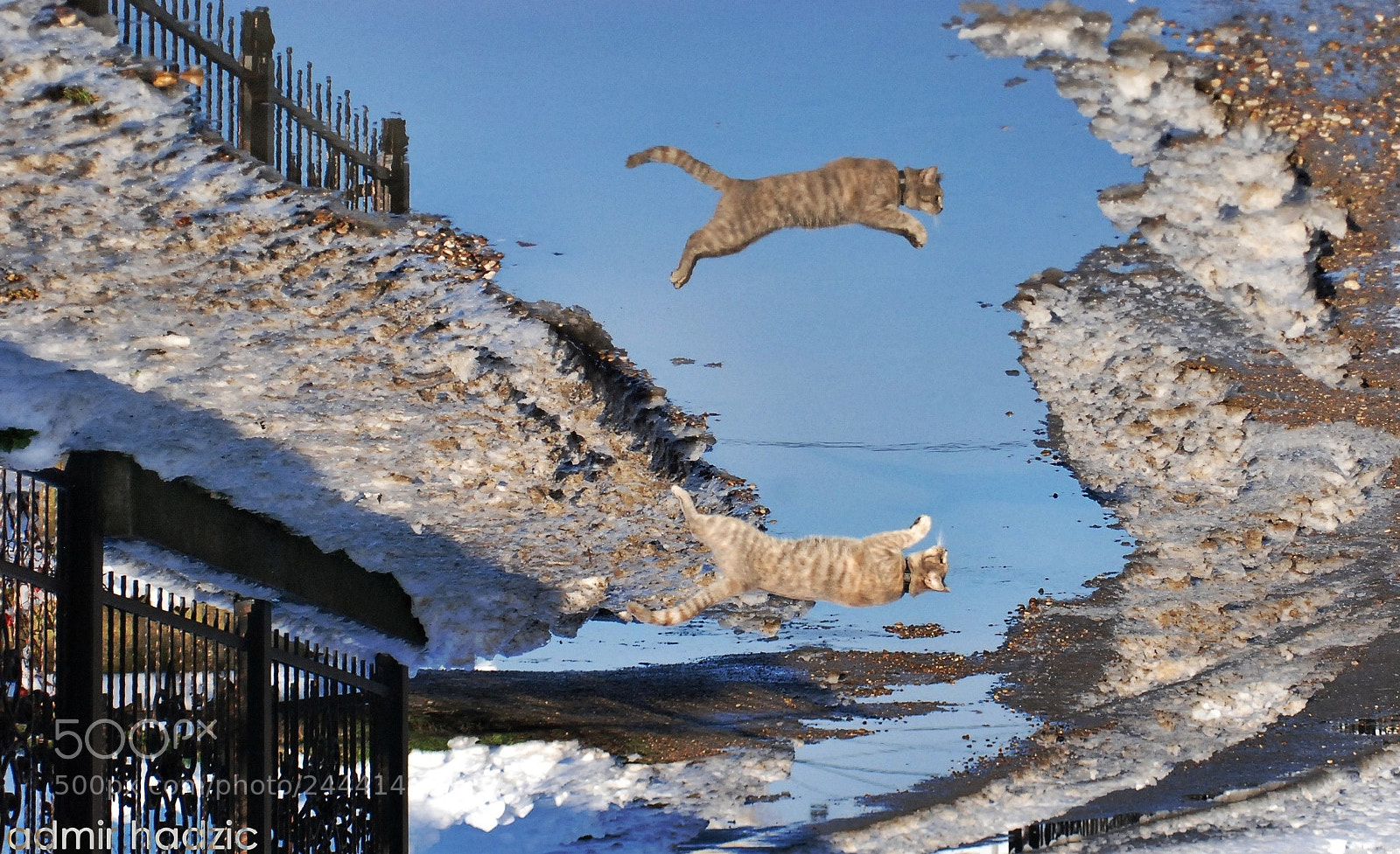 Nikon D80 sample photo. Jumping ellie photography