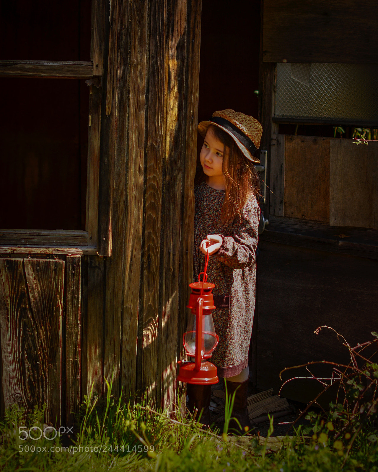 Nikon D7100 sample photo. The red lamb photography