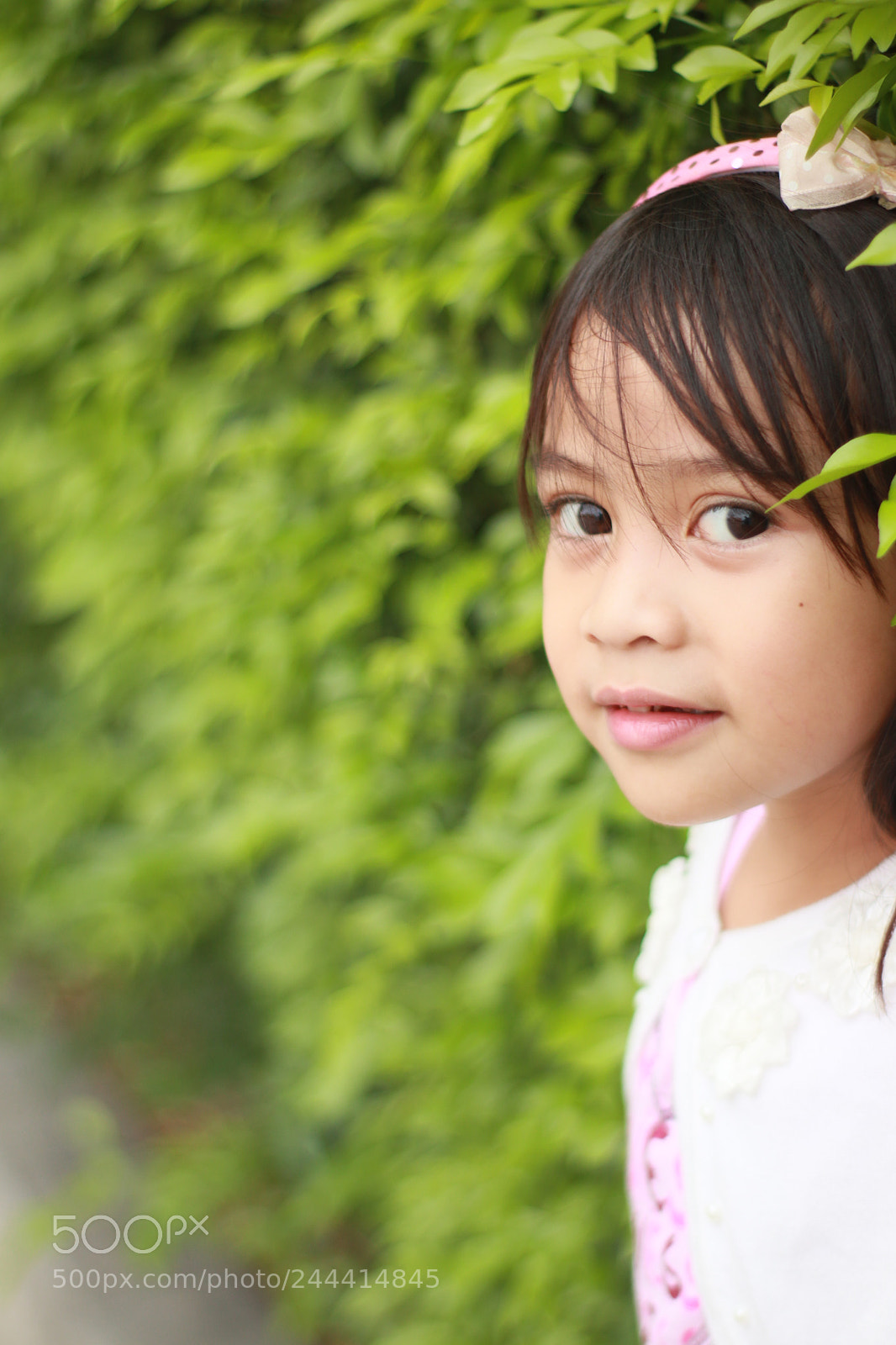 Canon EOS M6 sample photo. Chloe kate photography