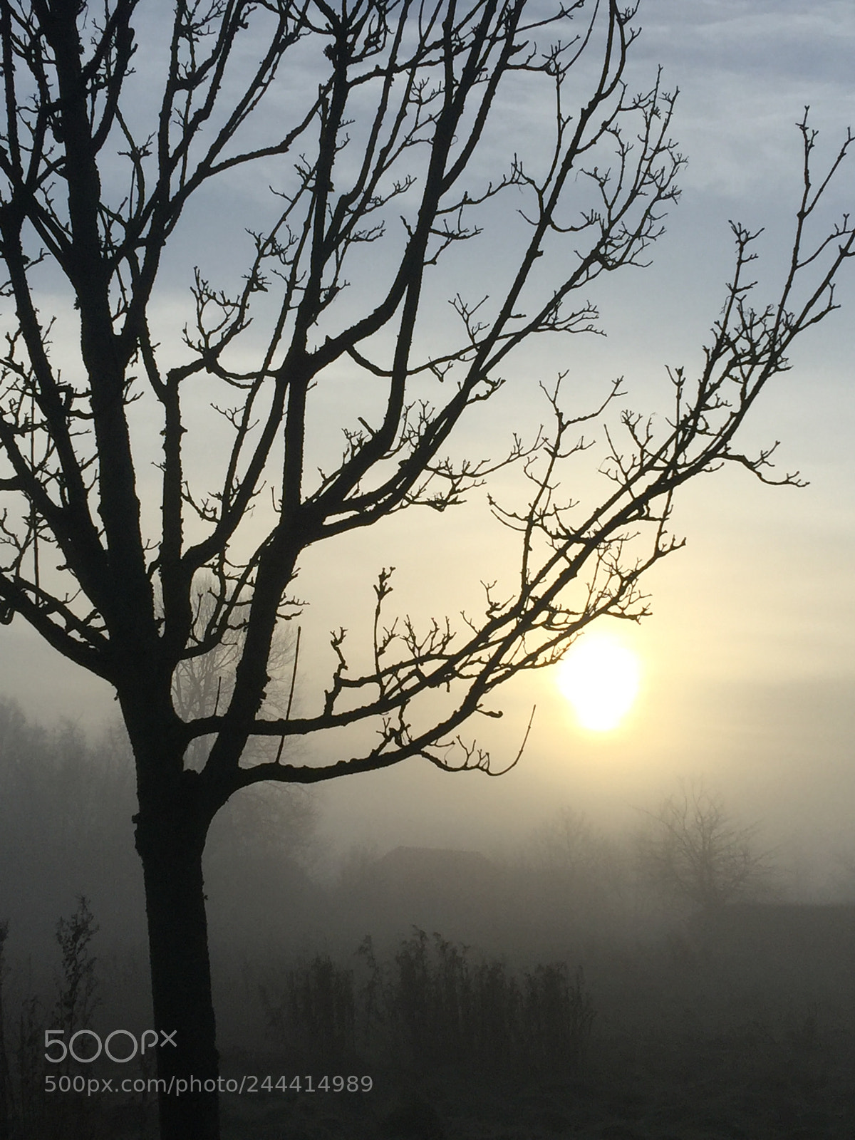 Apple iPhone 6 Plus sample photo. Untitled photography