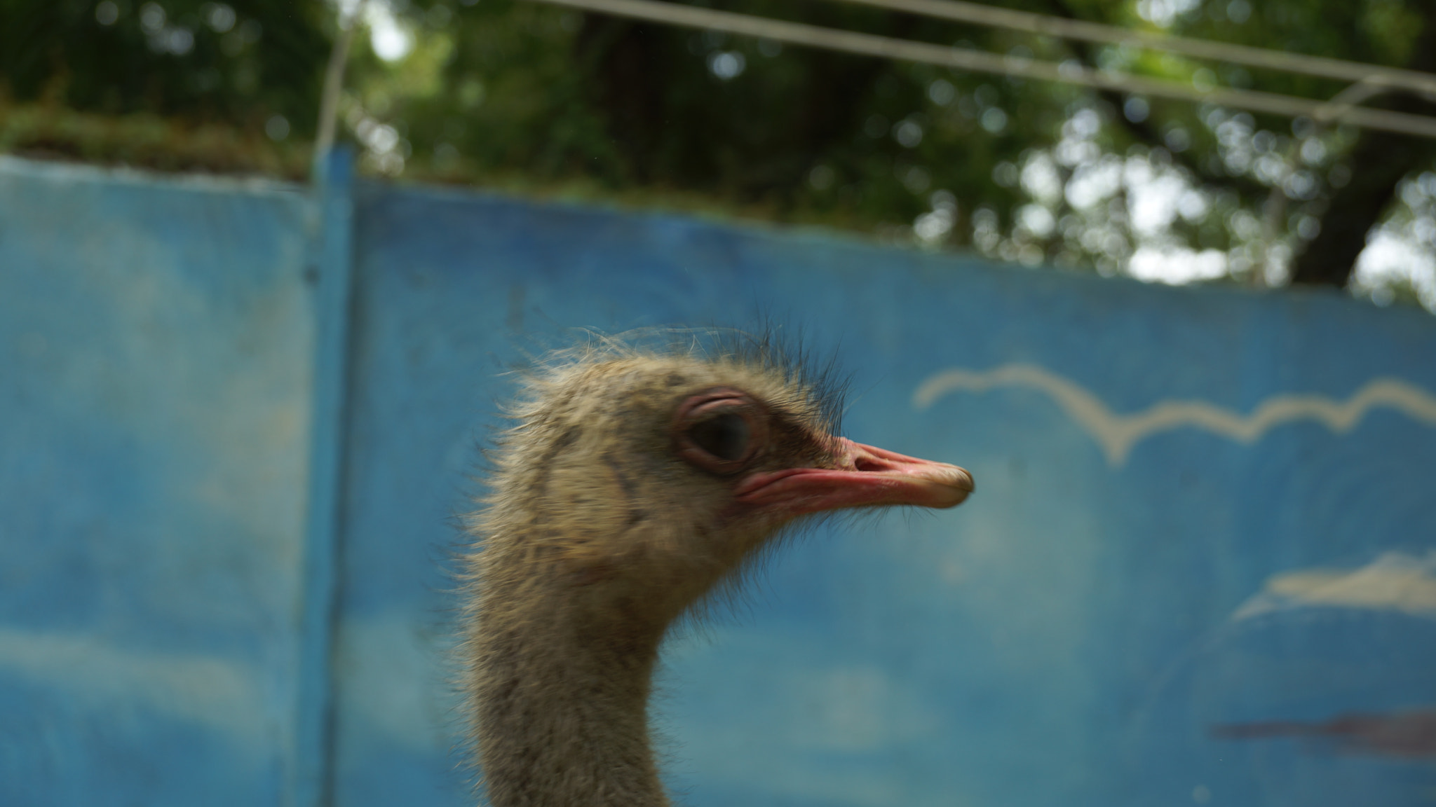 Sony DT 18-135mm F3.5-5.6 SAM sample photo. Acap_53526e photography