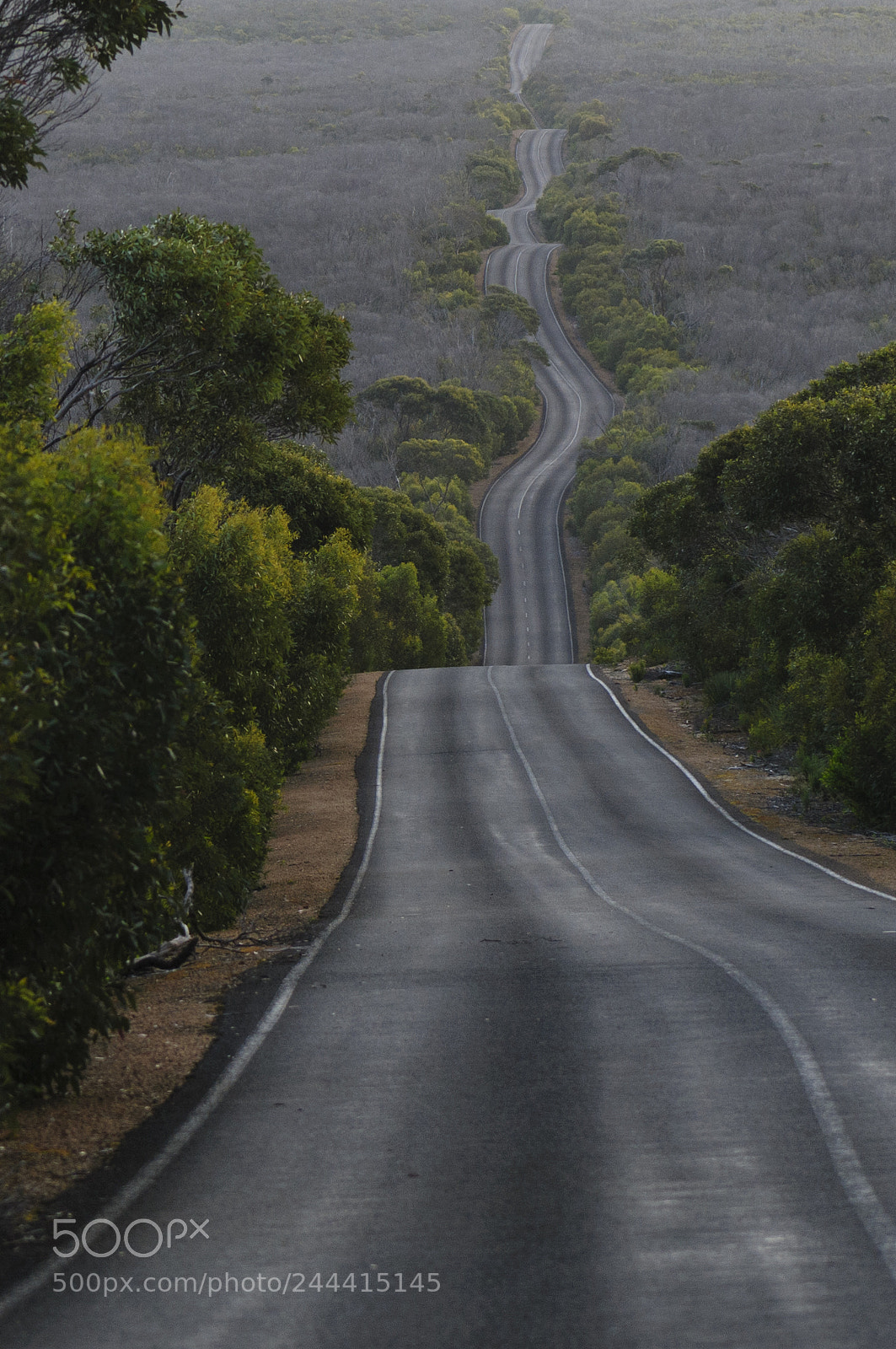 Nikon D300S sample photo. Curvy road photography