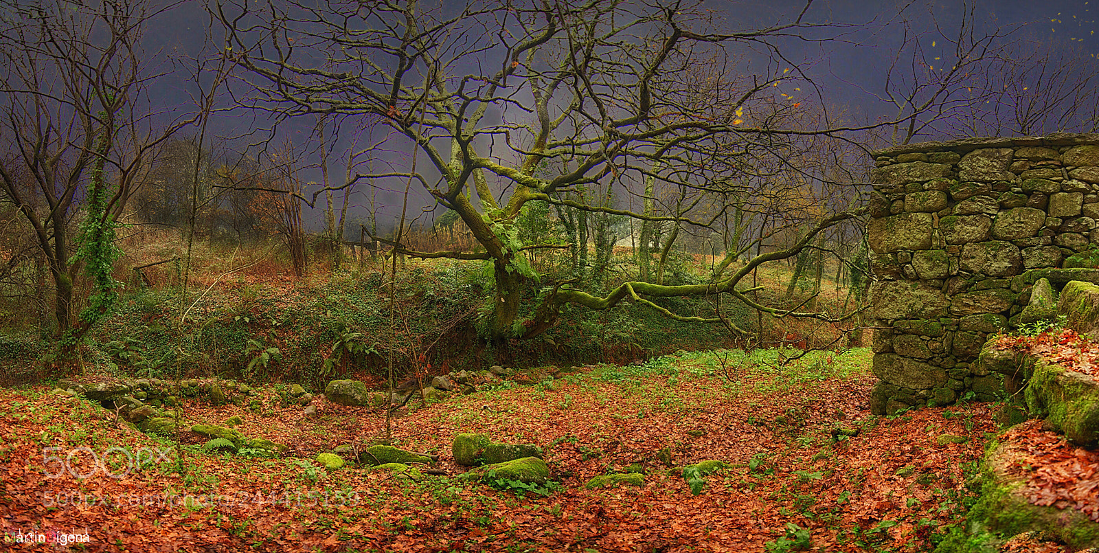 Nikon D7100 sample photo. Colores de invierno photography
