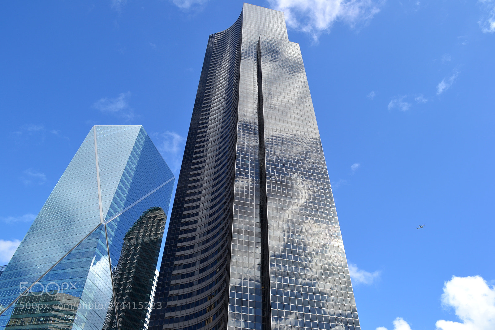 Nikon D3100 sample photo. Reach for the sky photography