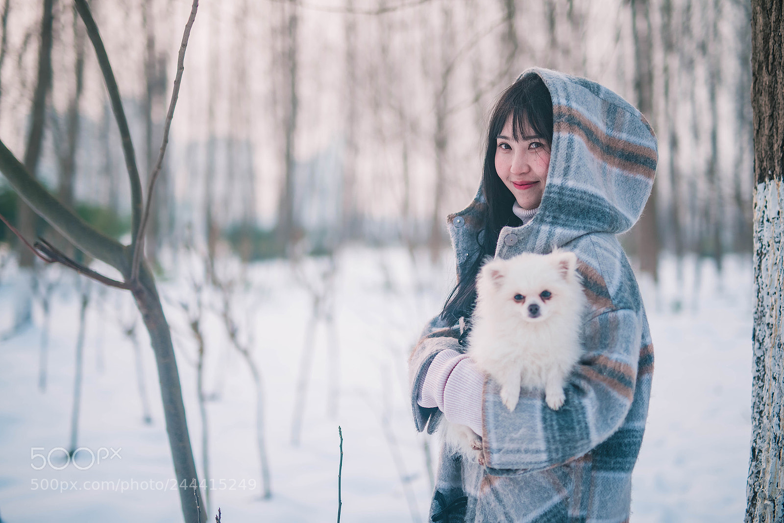 Nikon D800 sample photo. 冬日暖阳 photography