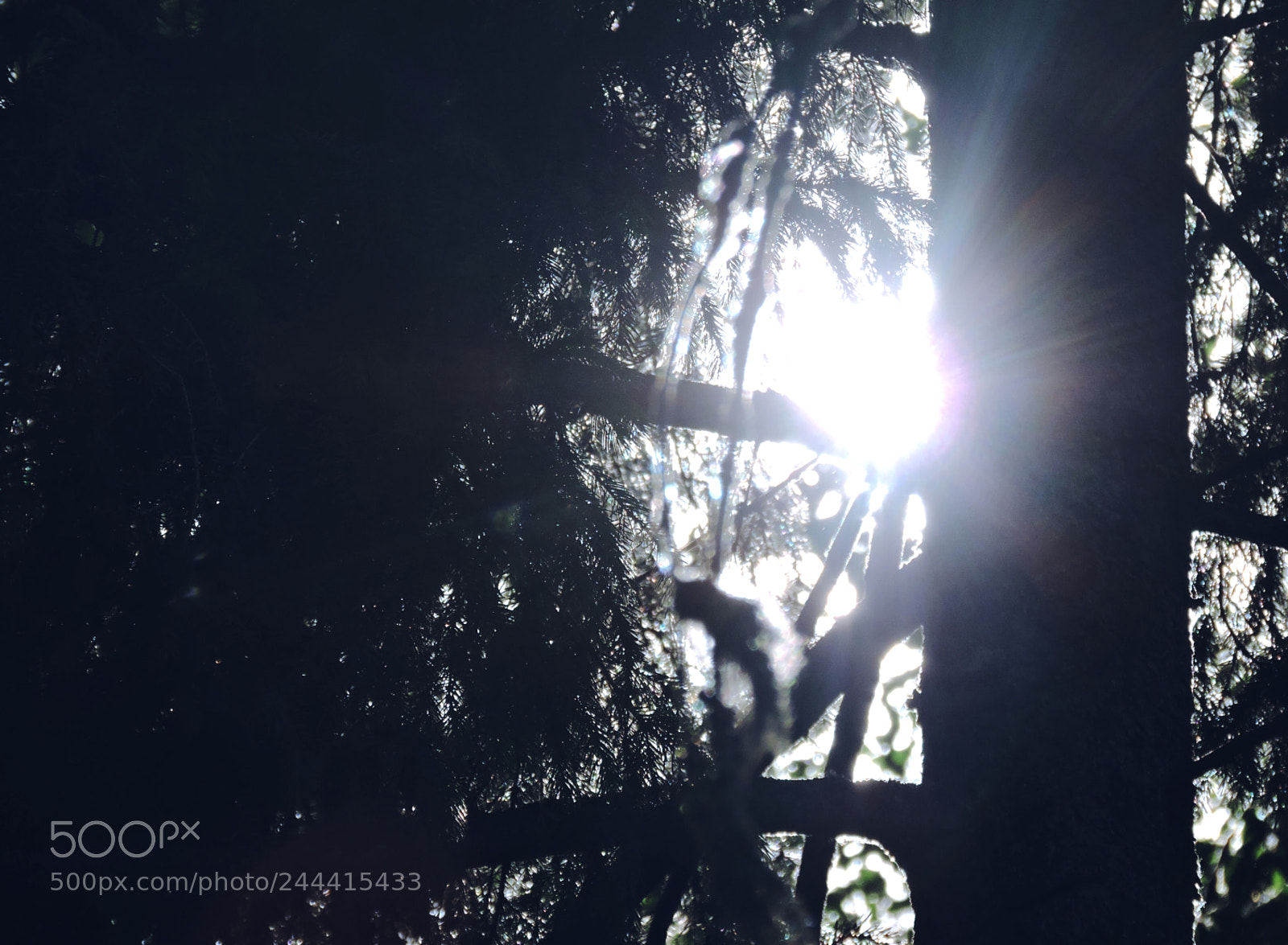 Nikon Coolpix P530 sample photo. Angels are here photography