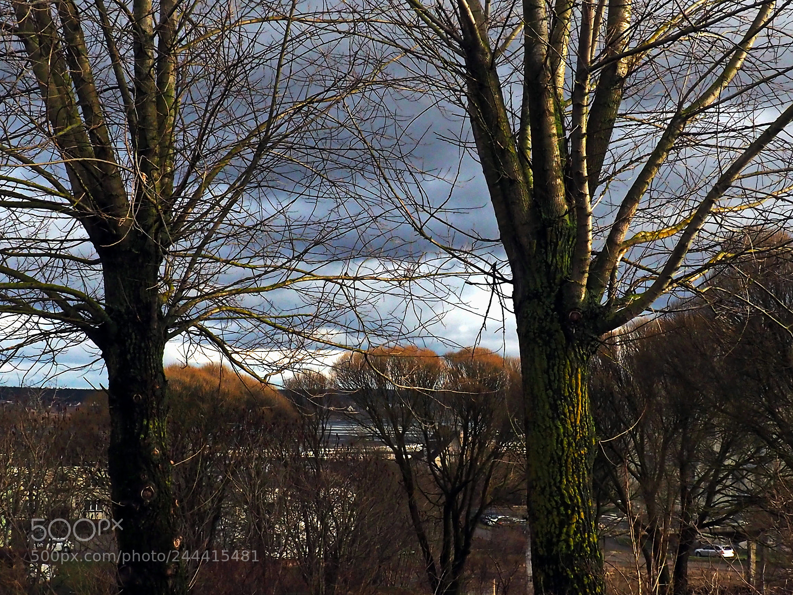 Olympus OM-D E-M10 II sample photo. Through my window photography