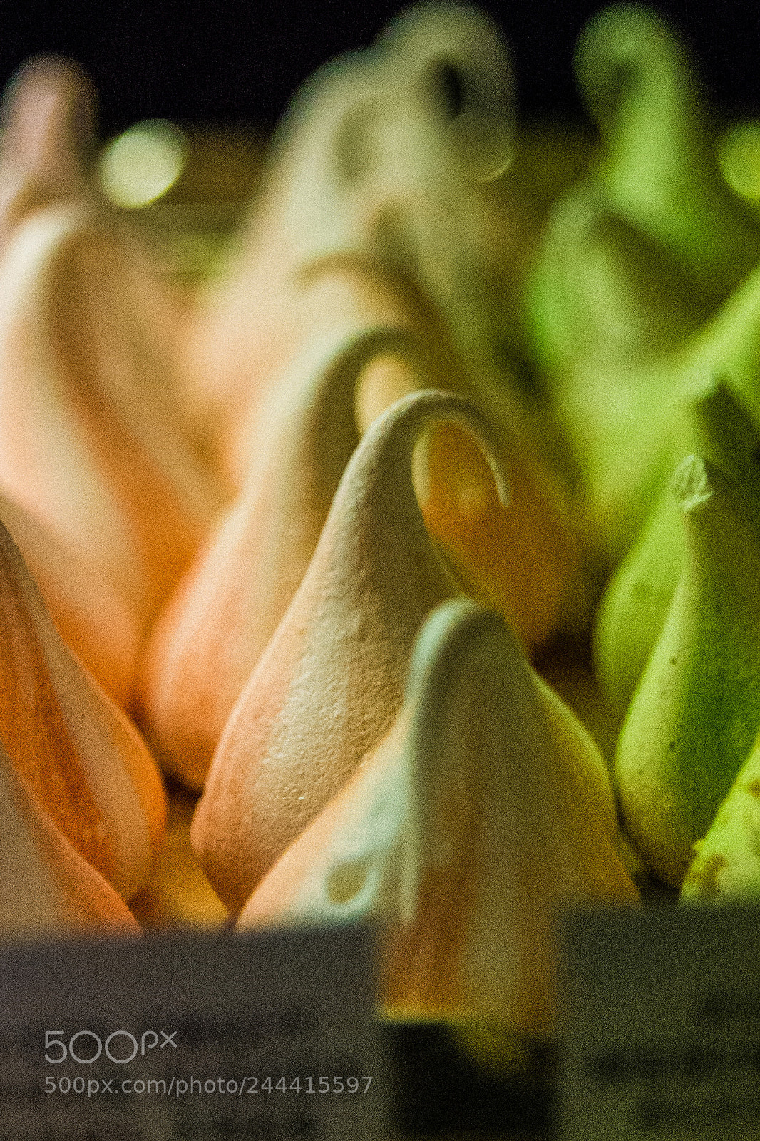 Nikon D610 sample photo. Sweets photography